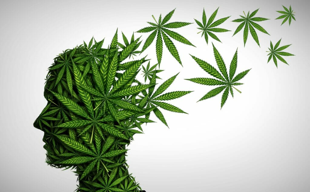 brain made of marijuana depicting the effects